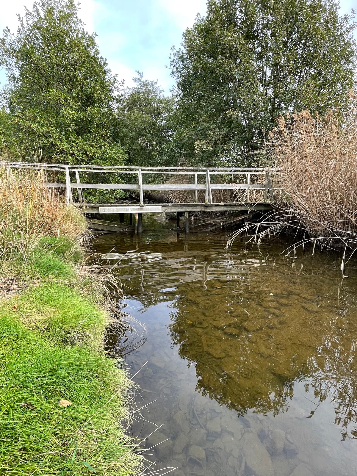 Utsnitt av Fredrikstad kommunes brev «Orientering om oppstart av tiltak i Elingårdsbekken», datert 18. august 2026.